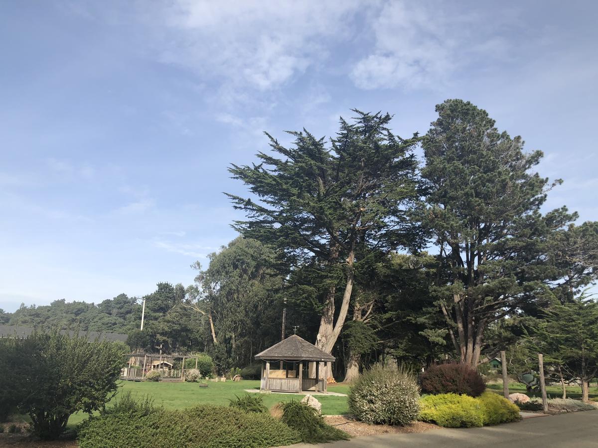 Pine Beach Inn Fort Bragg Esterno foto